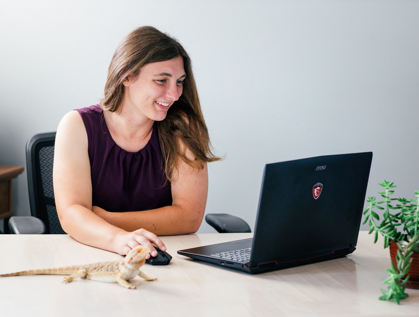 about me, graphic design, bearded dragon